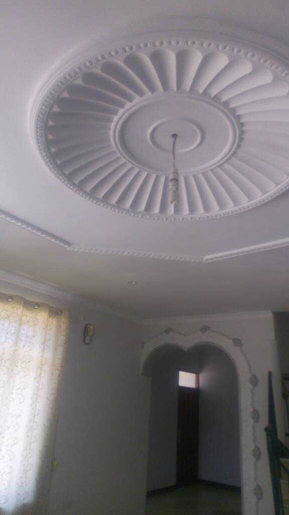 IMG_20200229_121221.jpeg