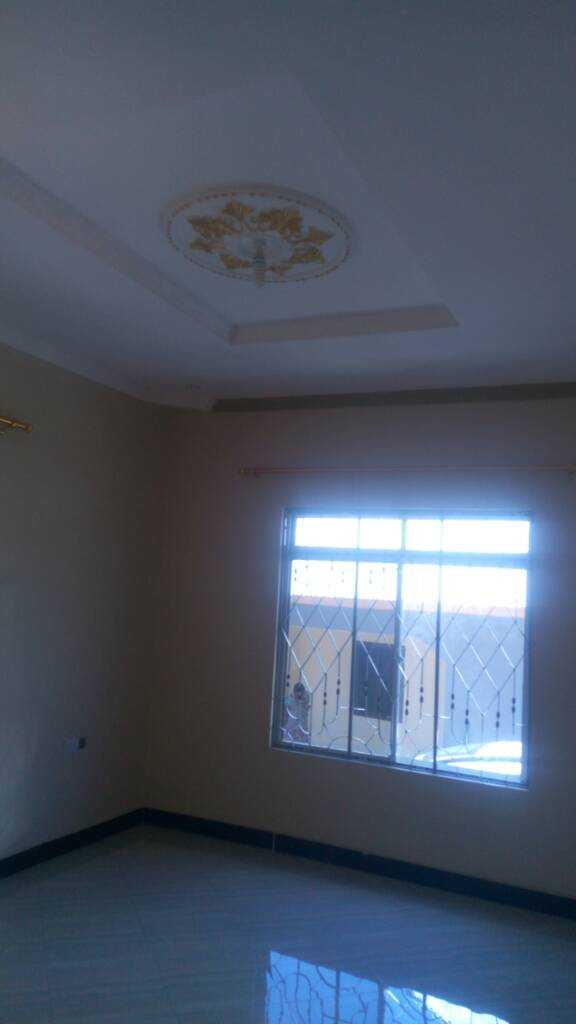 IMG_20200305_135249.jpeg