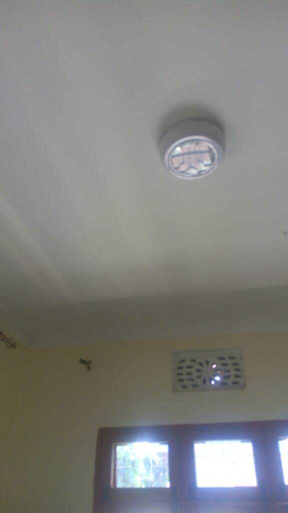 IMG_20200305_140914.jpeg