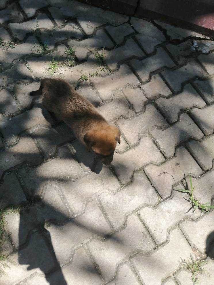 IMG_20200307_115644.jpeg