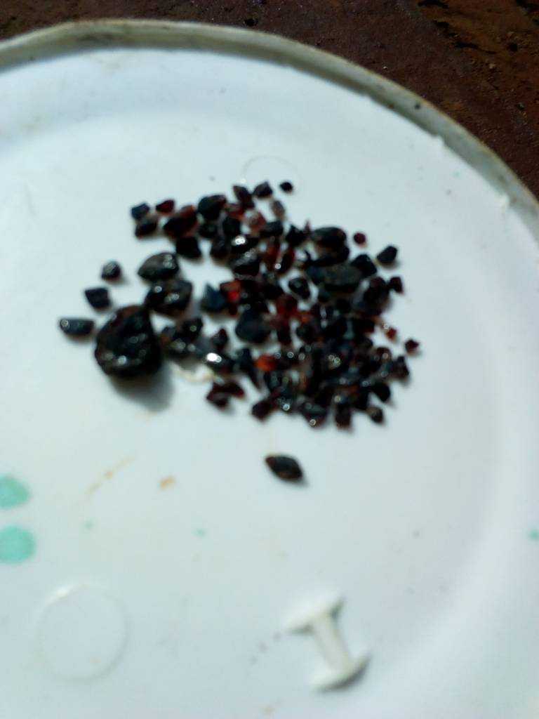 IMG_20200312_094505.jpeg