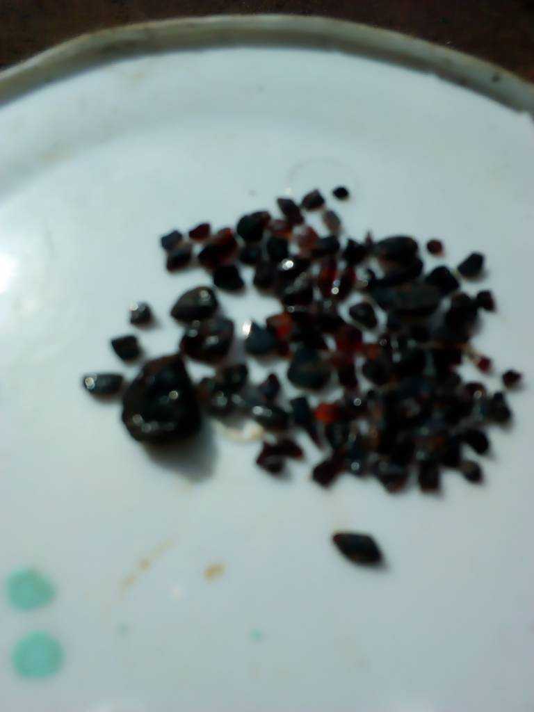 IMG_20200312_094546.jpeg