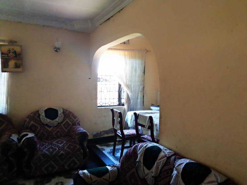IMG_20200319_165300_138.jpeg