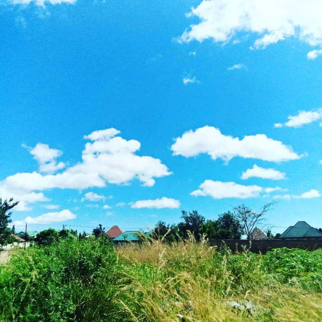 IMG_20200426_132032_003.jpeg