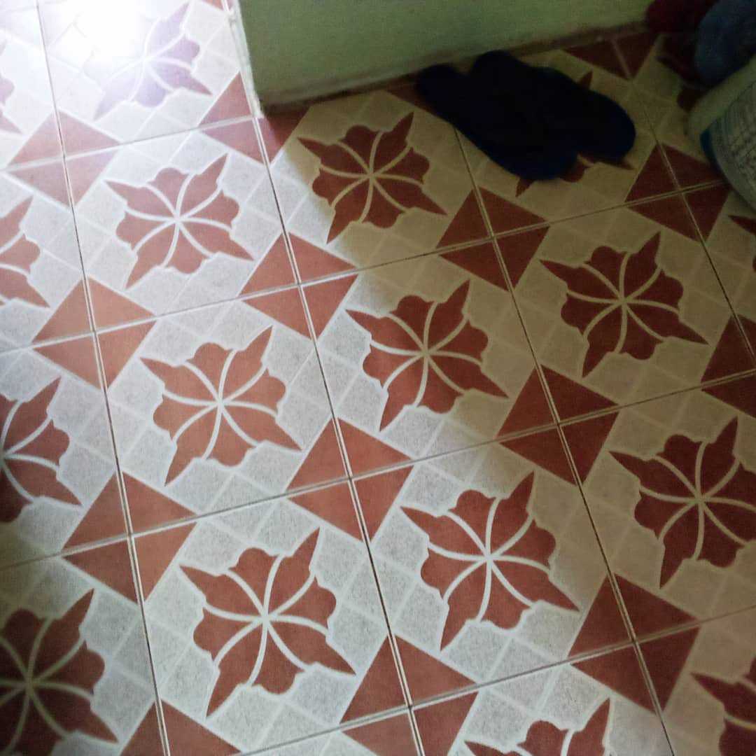 IMG_20200429_062615_945.jpeg