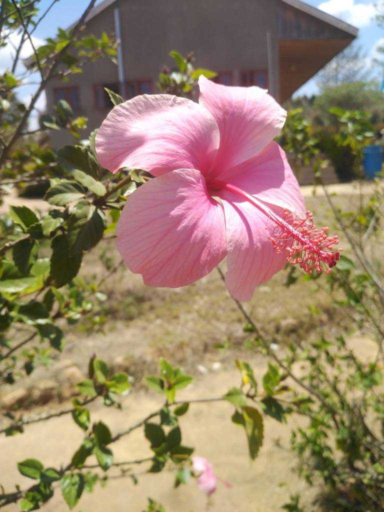 IMG_20201023_113212.jpg