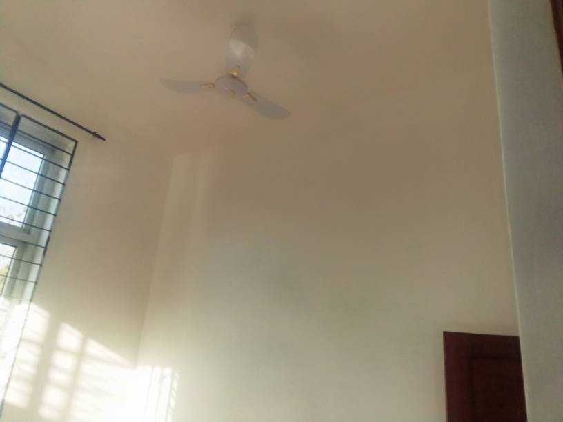 IMG_20210225_174729_603.jpg