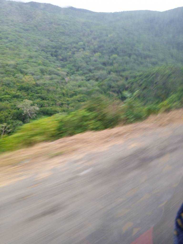IMG_20210503_141508_195.jpg