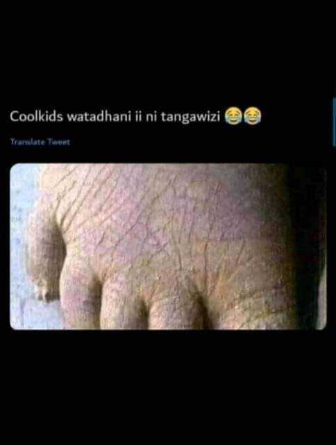 IMG_20220217_110354_794.jpg