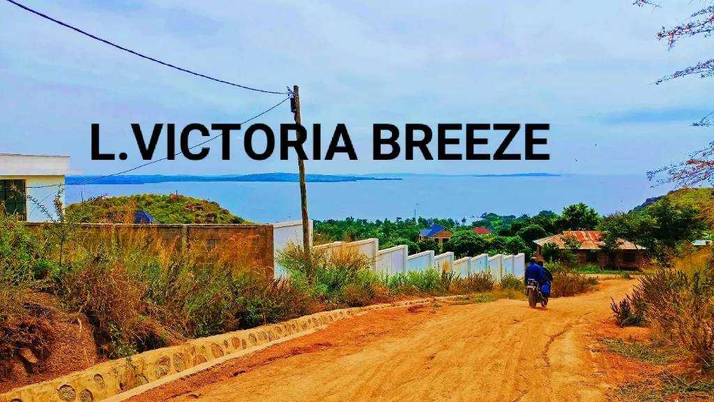 IMG_20220522_091333_200.jpg