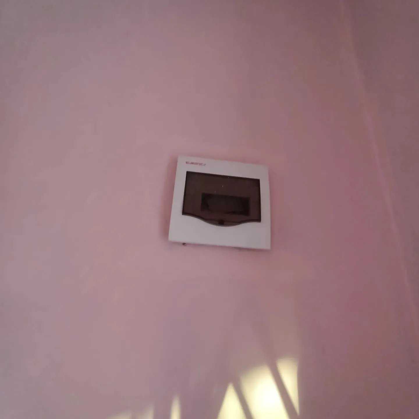 IMG_20220726_080256_451.jpg