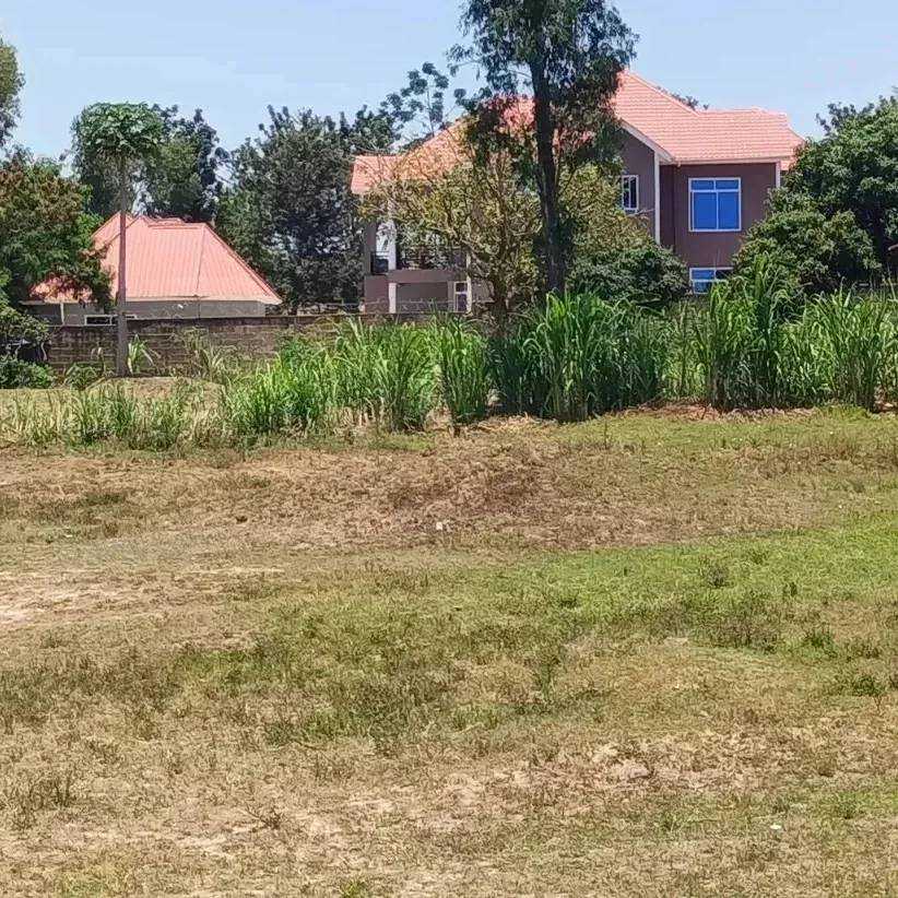 IMG_20220921_133929_878.jpg