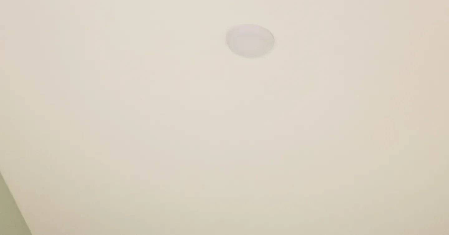 IMG_20221118_182408_118.jpg