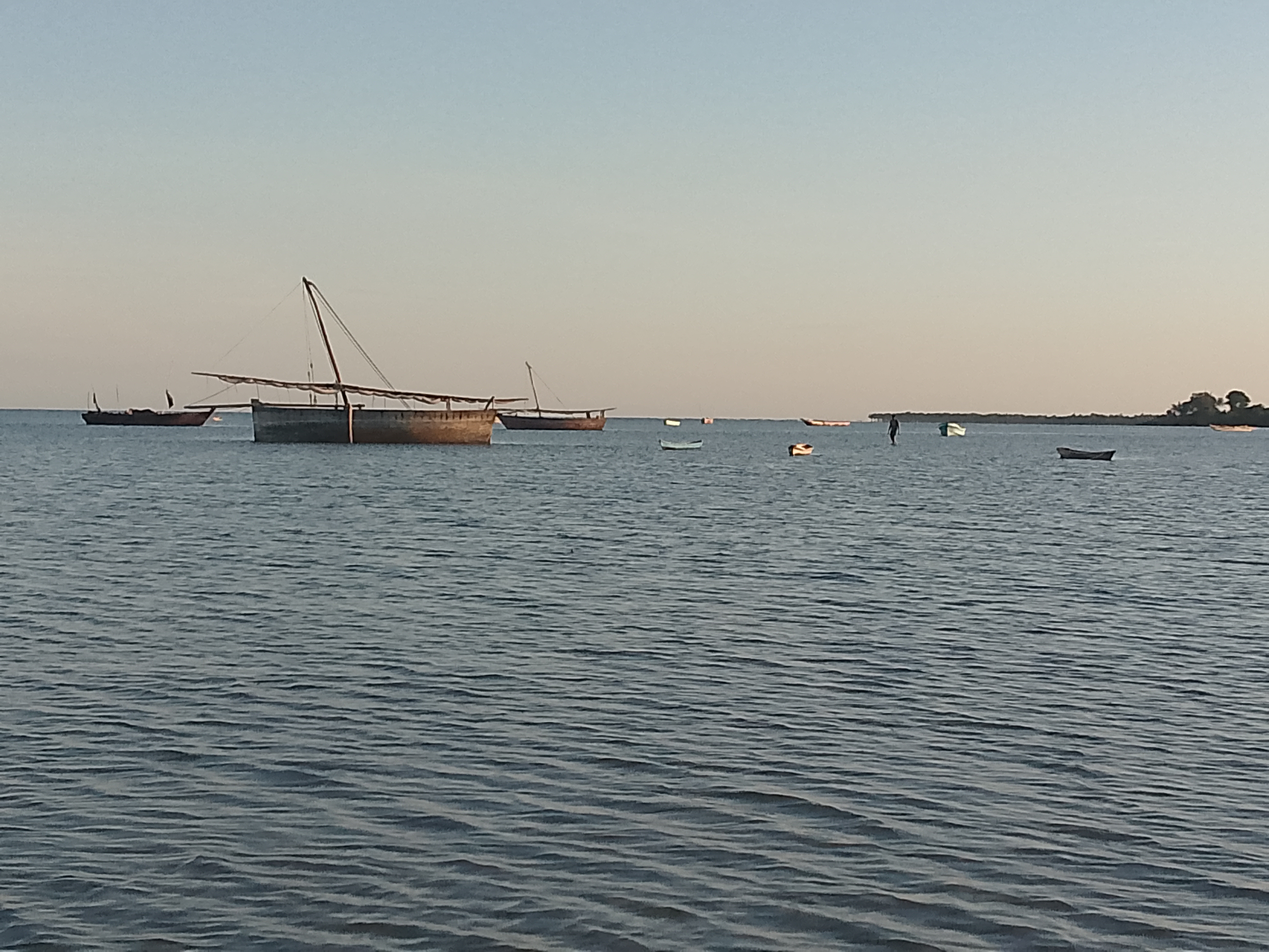 IMG_20240306_181326_559.jpg