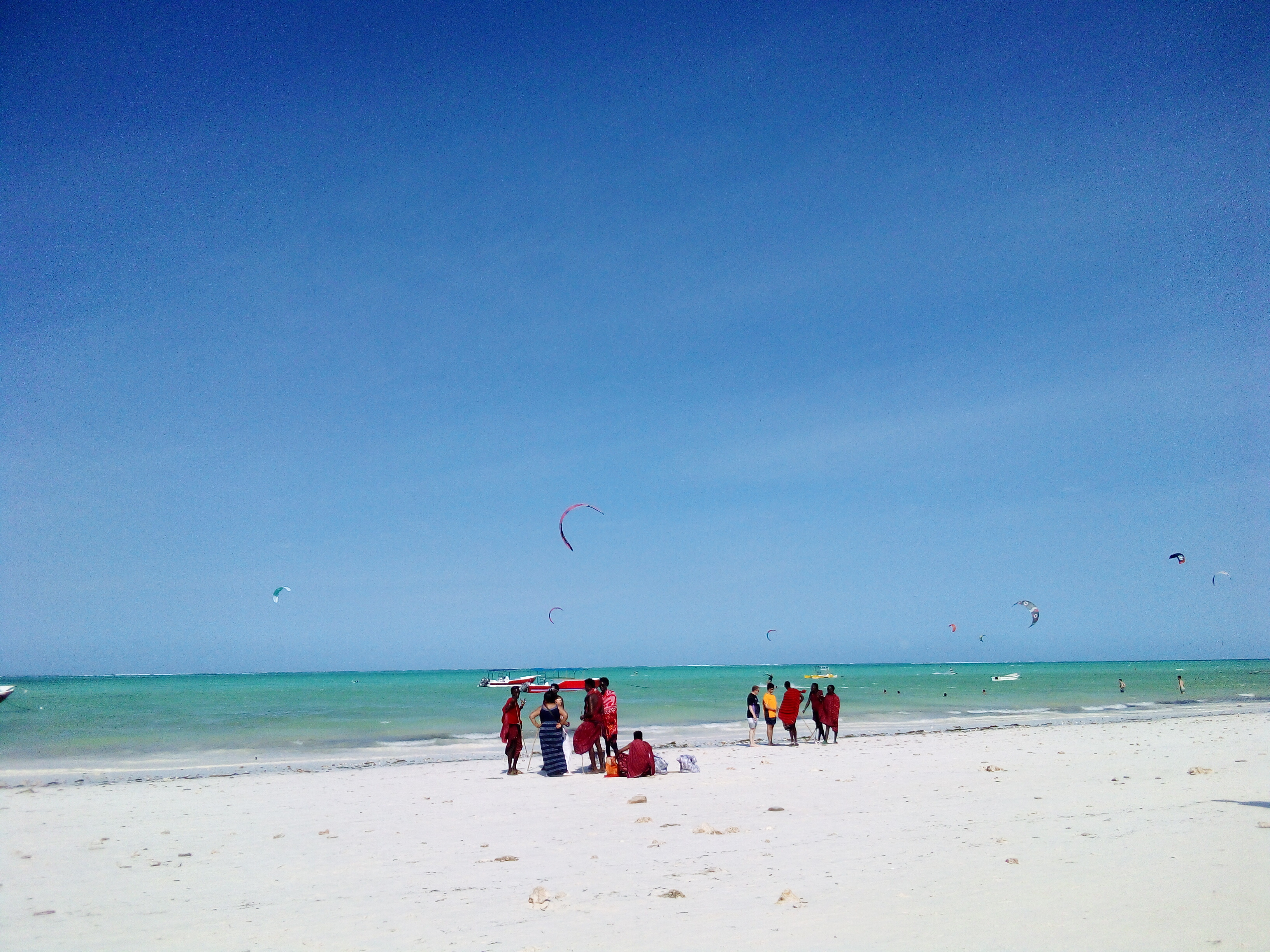 IMG_20240823_153052_320.jpg