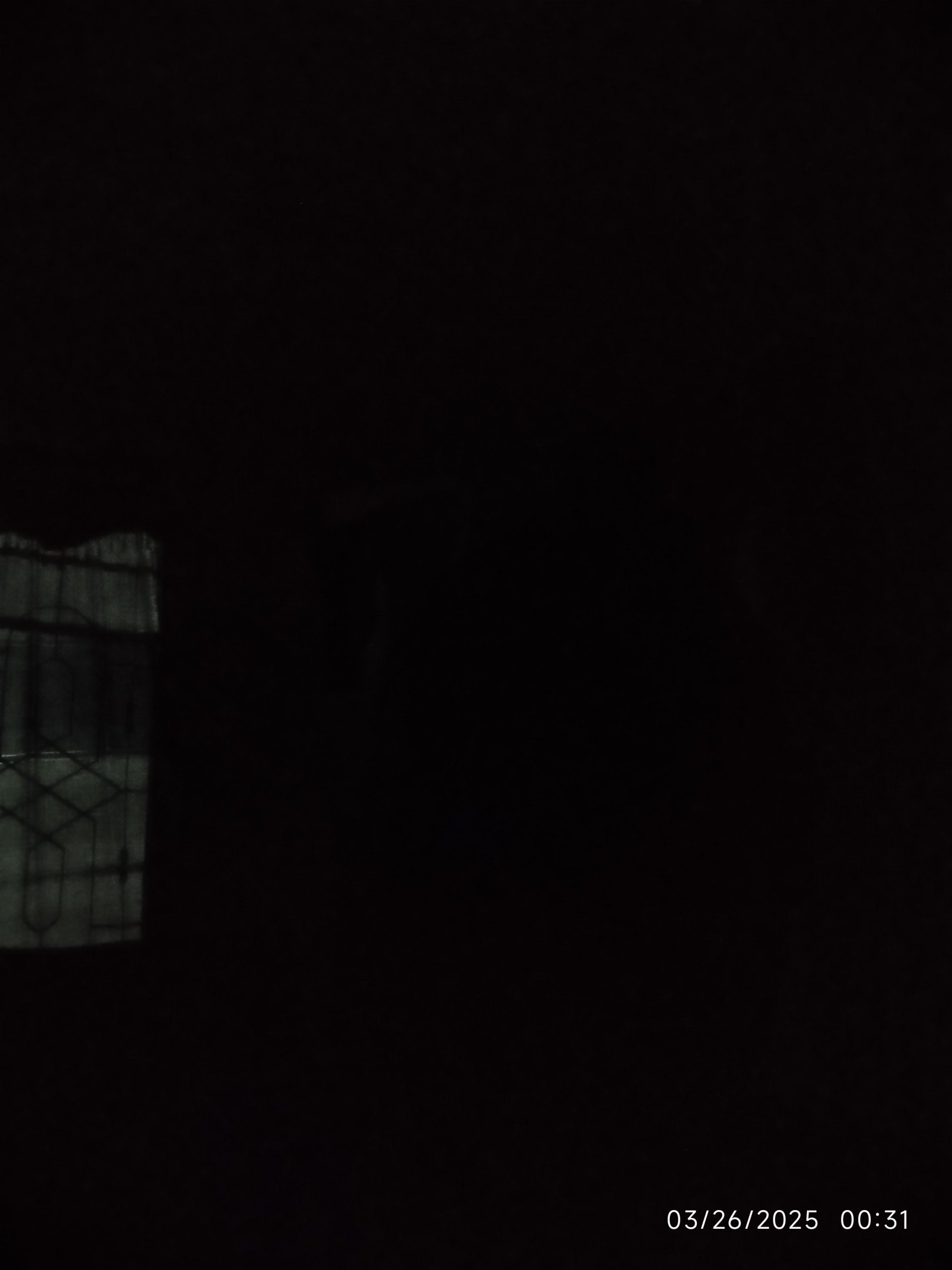 IMG_20250326_003119.jpg