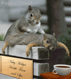 JamiiForums-1093791564.gif