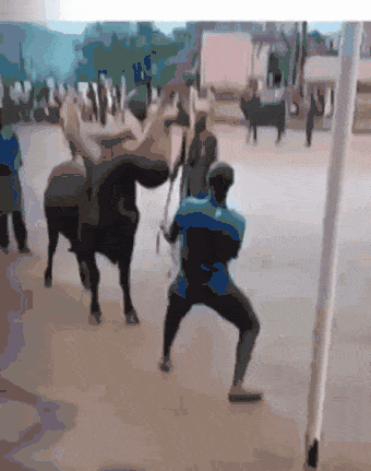 JamiiForums-1112293884.gif