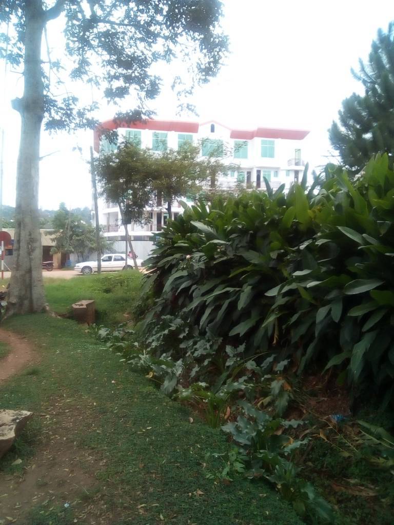 JamiiForums-1339454831.jpg