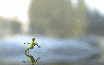 JamiiForums-1742009958.gif