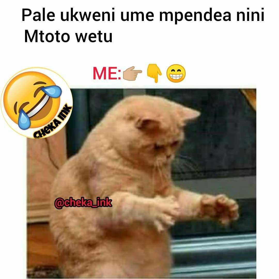 JamiiForums1754268639.jpg