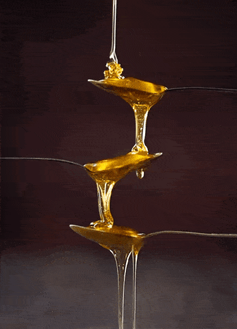 JamiiForums1856819424.gif