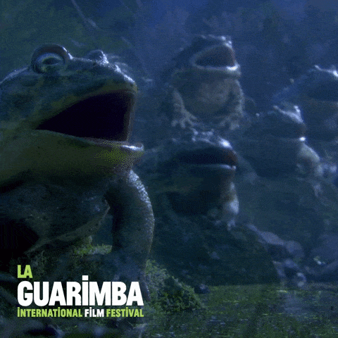 JamiiForums634484517.gif
