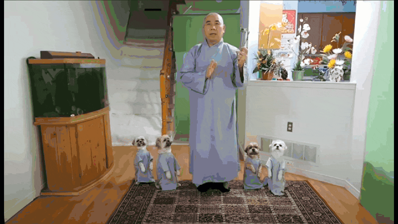 jf.gif