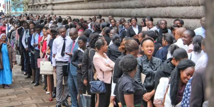 jobseekers.jpg.webp