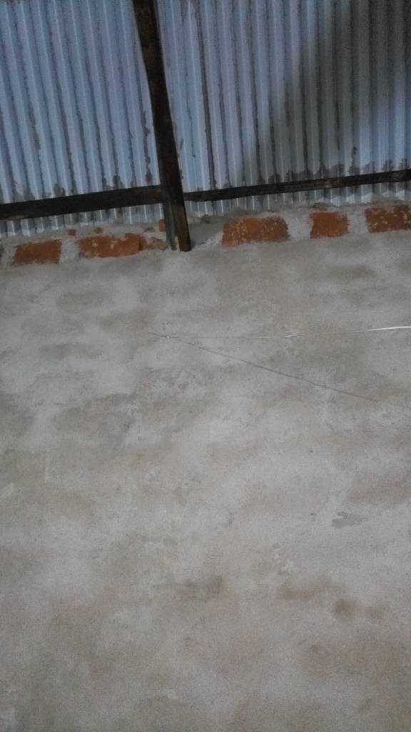 JPEG_20210712_201332_1717707888.jpg