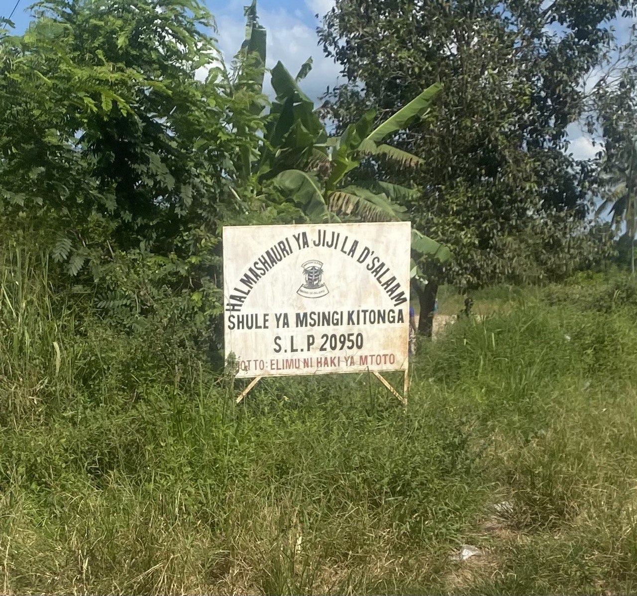Kitonga1.jpg