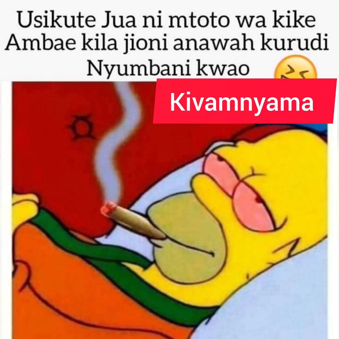kivamnyama_20240805_42.jpg