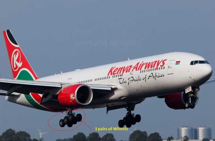 kq.jpg