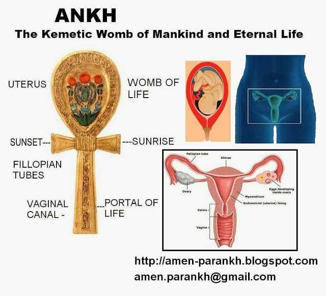 life%20womb3.jpg