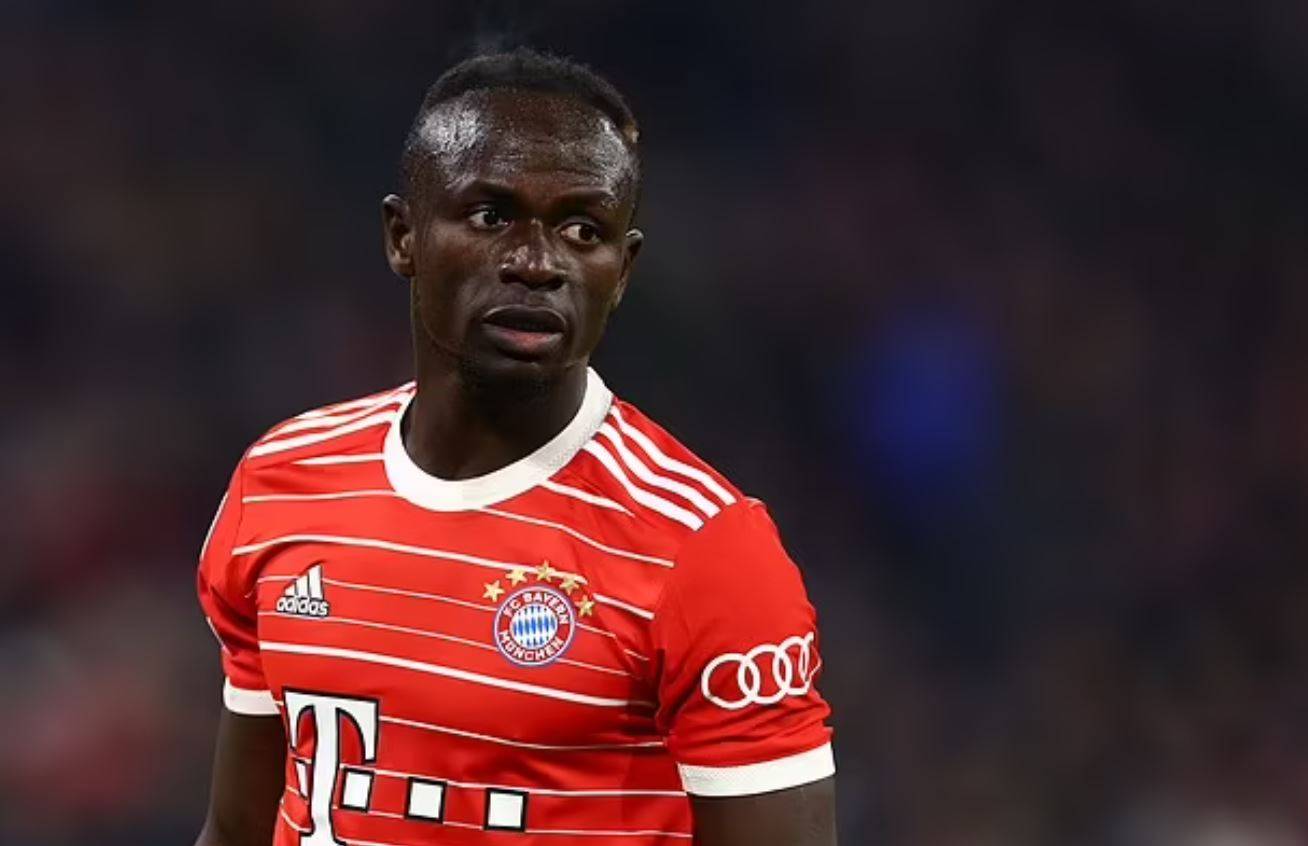 Mane.JPG