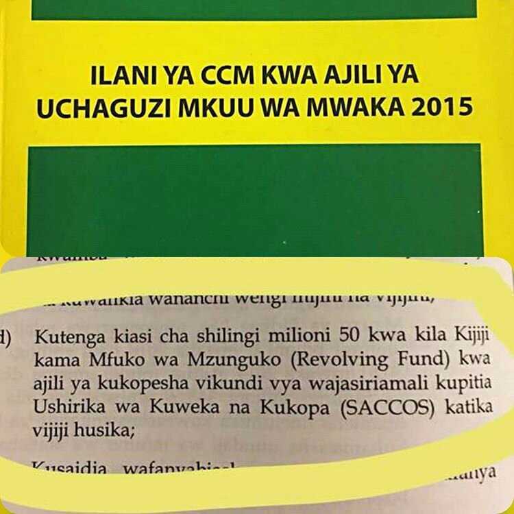 mariastsehai-20180911-0001.jpg
