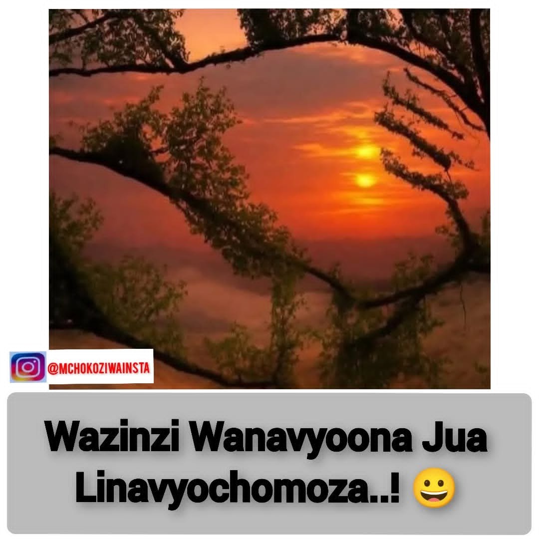 mchokoziwainsta-20250102-0003.jpg