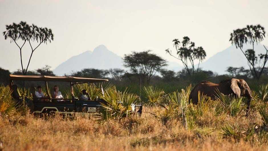 Meru_Park.jpg