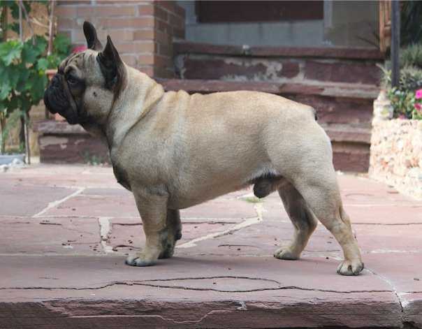 Mi_Gran_Amigo_El_General.jpeg