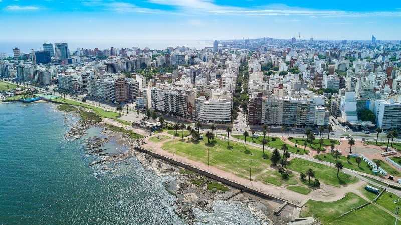 Montevideo Green.jpeg