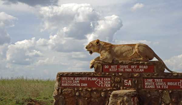 nairobi-national-park-1428357574.jpg