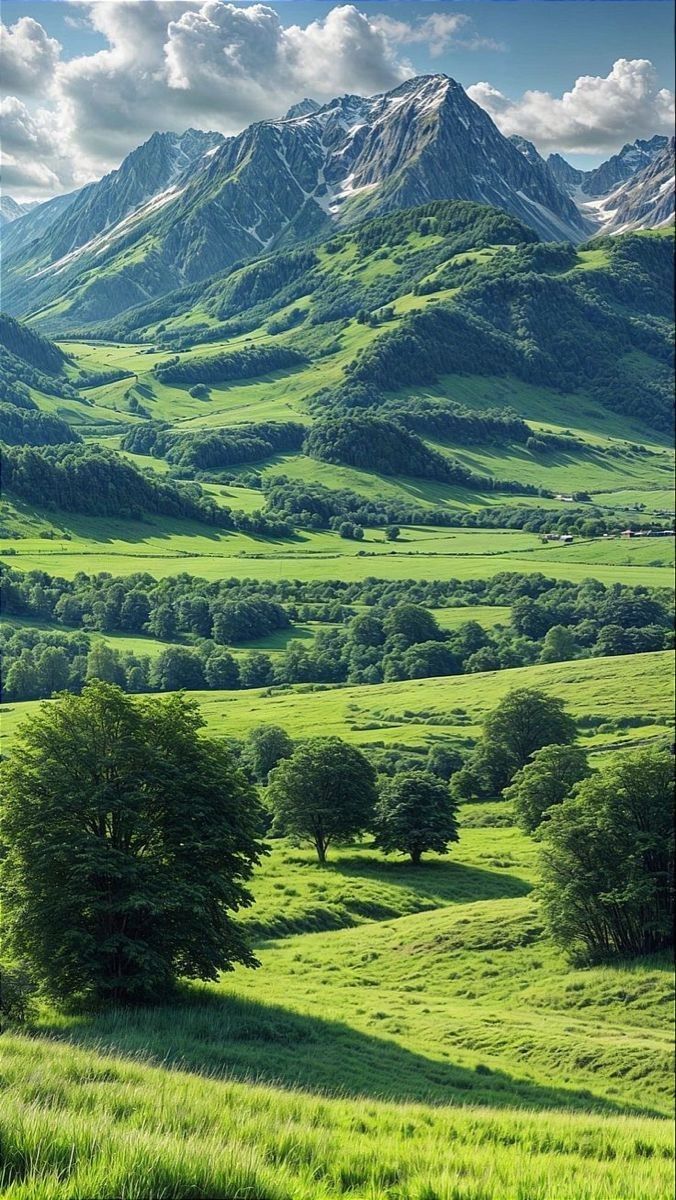 nature.jpeg