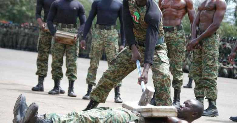 nys-kenya-780x405.jpeg