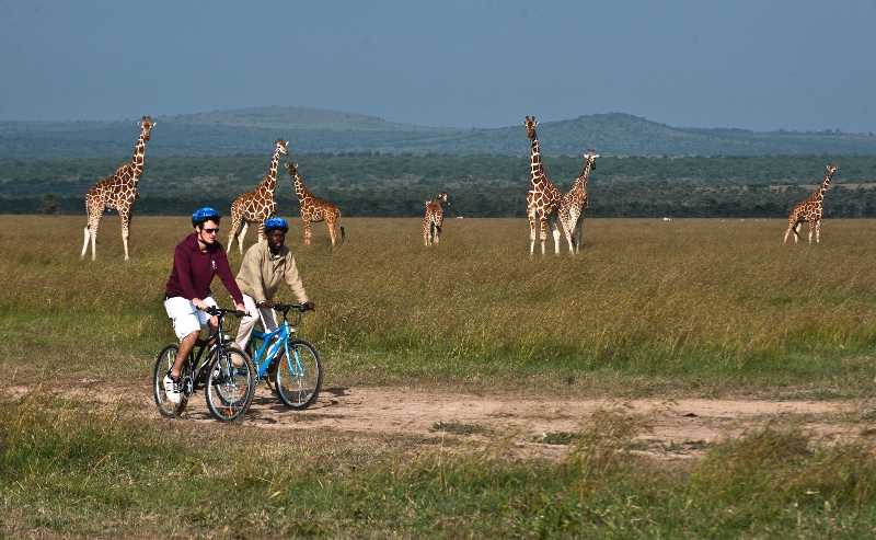olpejeta 2.jpg
