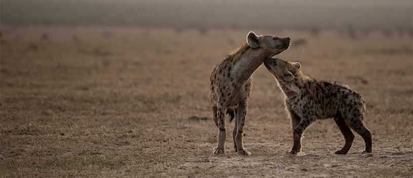 olpejeta 6.jpg
