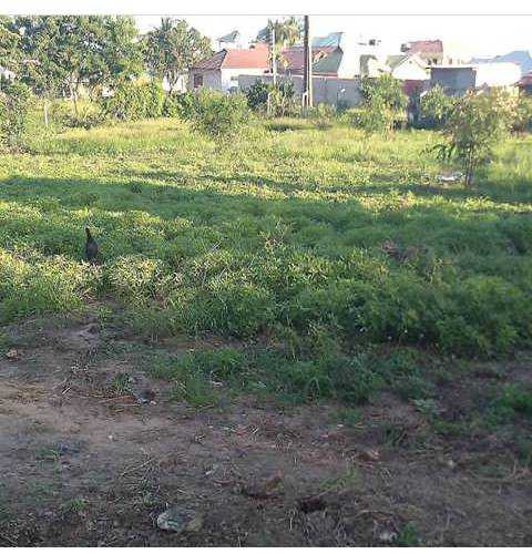 Photo1570726193274.jpeg