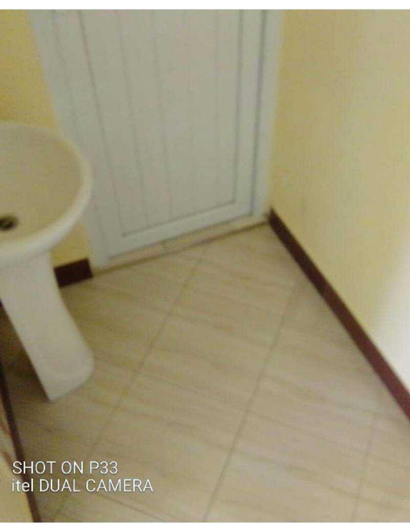 Photo1574833624642.jpeg