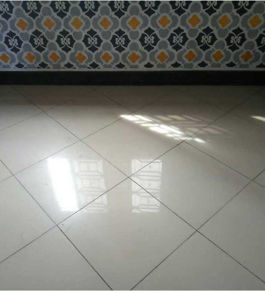 Photo1575355565314.jpeg