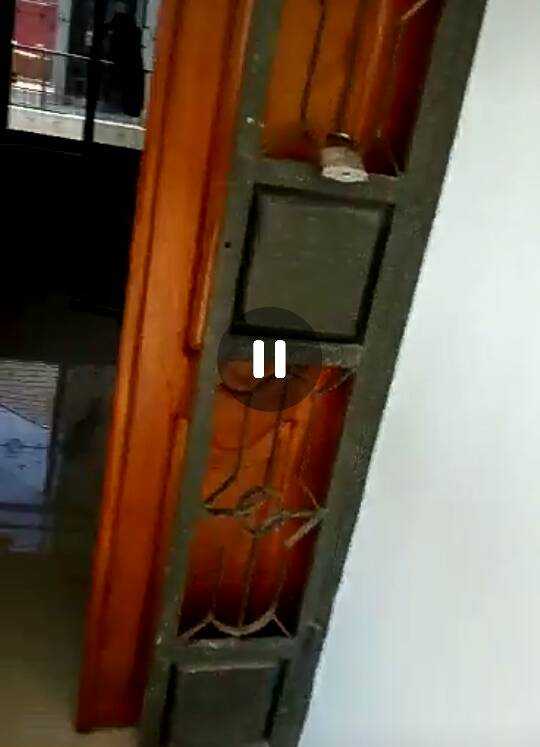Photo1575367392850.jpeg