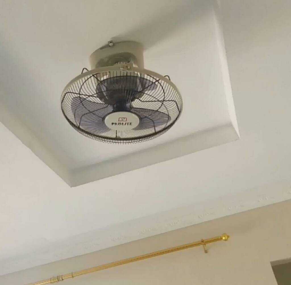 Photo1577984993822.jpeg